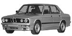 BMW E28 C242C Fault Code